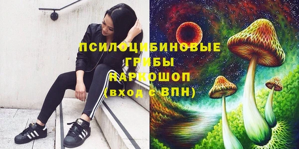 индика Алзамай
