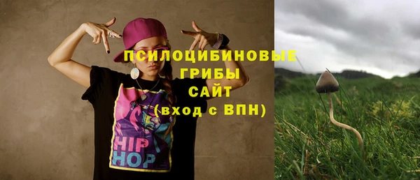 индика Алзамай