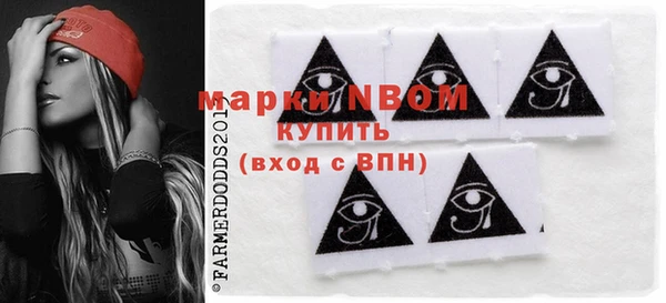 индика Алзамай