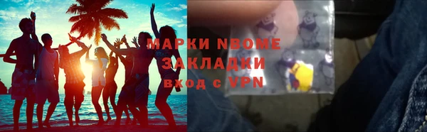 индика Алзамай