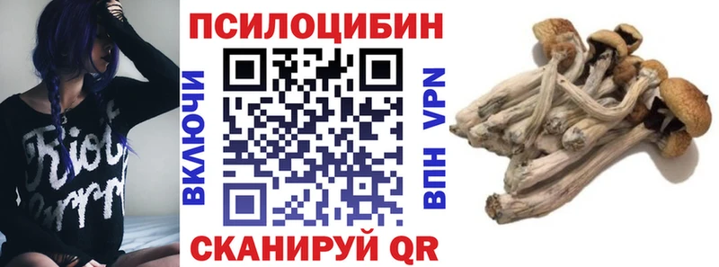 купить  сайты  Могоча  Галлюциногенные грибы Magic Shrooms 